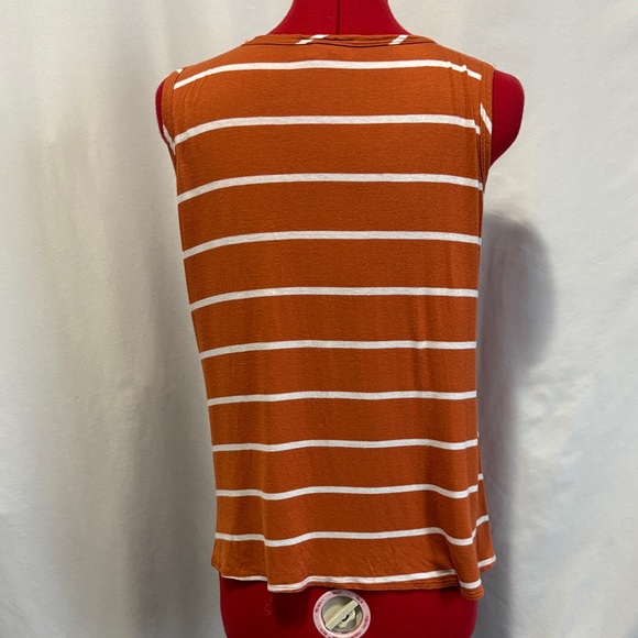 Sleeveless Button-Down Blouse in Rust Stripes - Picture 3 of 5